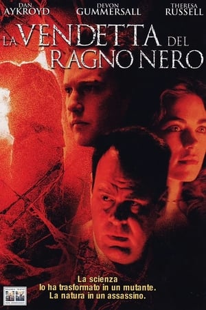 Poster La vendetta del ragno nero 2001