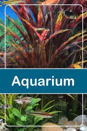 Image Relaxing Aquarium