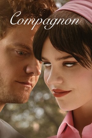 Image Companion