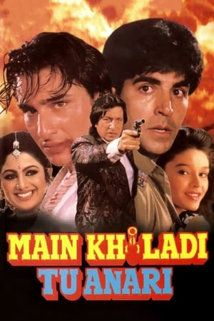 Image Main Khiladi Tu Anari