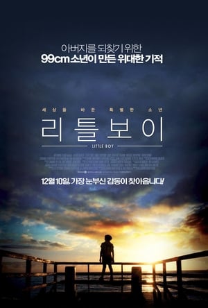 Poster 리틀 보이 2015