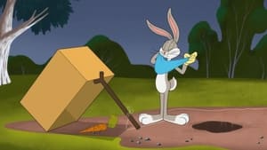 Looney Tunes Cartoons E-Rabbitcator