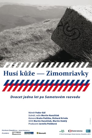 Image Husí kůže – Zimomriavky