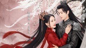 Seal Of Love ( 2022 )