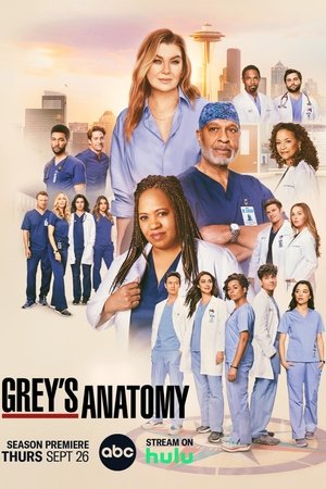 poster Grey's Anatomy