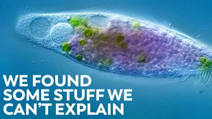 Trying To Solve Some Micro Mysteries still