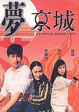 Poster A Story in Beijing City 1993