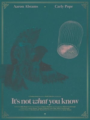 Poster It's Not What You Know 2016