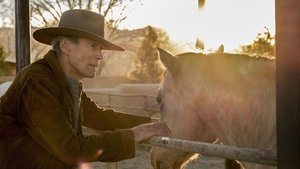 Cry Macho Review: Is a Strictly Average Clint Eastwood Film