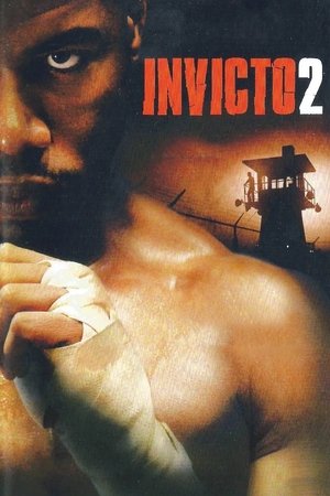 Image Invicto 2