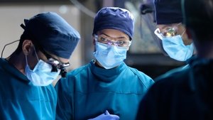 The Good Doctor: Season 3 Episode 15