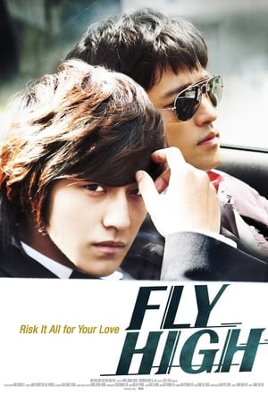 Poster Fly High 2009