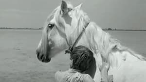 Crin blanc: Le cheval sauvage film complet