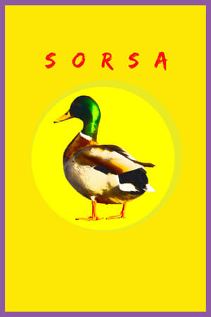 Sorsa