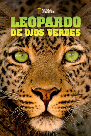 Jade Eyed Leopard 15
