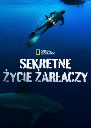 Sekretne życie żarłaczy