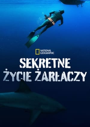 Image Sekretne życie żarłaczy