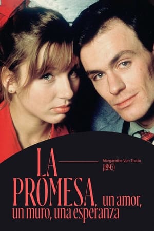 Poster La promesa, un amor, un muro, una esperanza 1995