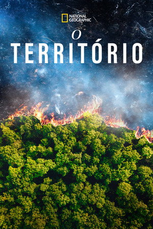 The Territory 20