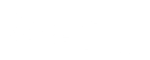Espías con disfraz — Logos 11