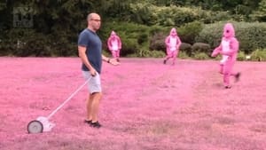 Impractical Jokers Pity in Pink