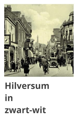 Image Hilversum in zwart-wit