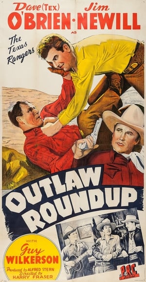 Outlaw Roundup poster