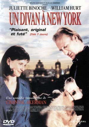 Poster Pohovka v New Yorku 1996
