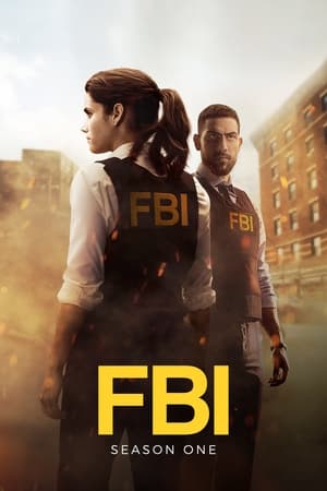 FBI: Saison 1