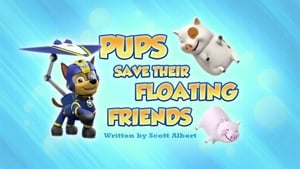 PAW Patrol Pups Save Their Floating Friends