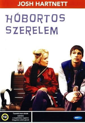 Poster Hóbortos szerelem 2005