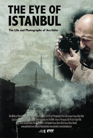 Poster The Eye of Istanbul 2016