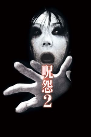 Image Förbannelsen fortsätter - The Grudge 2