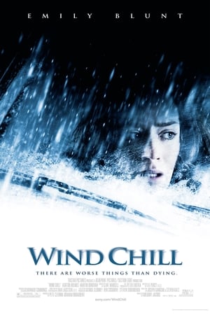 Wind Chill (2007) is one of the best movies like Row 19 (2021)