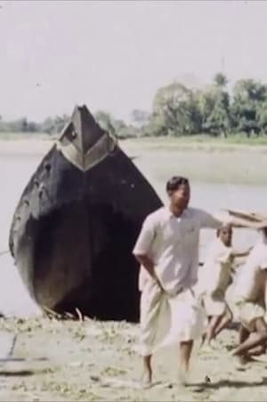 Image Boat Repairs - Sunderbans