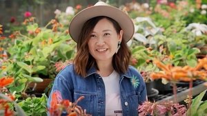 Episode 27 Spring: Garden for Birds & No-Mow Lawn | StreamHub