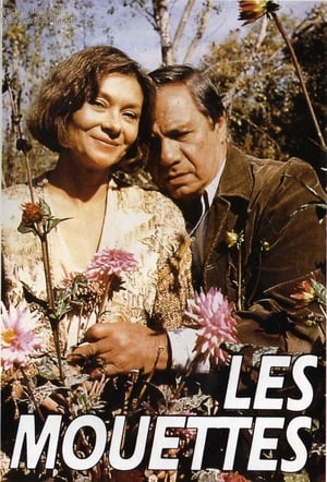 Poster Les Mouettes 1991