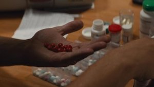 Holding the Man Online En Netflix