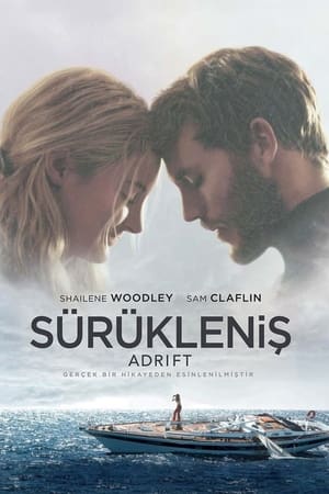 Poster Sürükleniş 2018