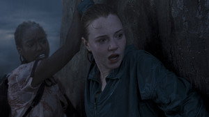 Images posters