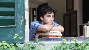 Call Me by Your Name (2017) เอ่ยชื่อคือคำรัก