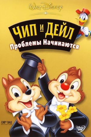 Poster Чип и Дейл: Проблемы начинаются 2004