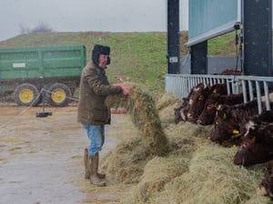 Clarkson farmja 2. évad 4. rész