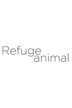 Animal Shelter