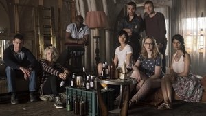 poster Sense8