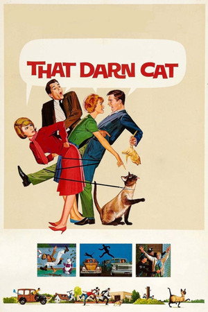 Постер фильма «Эта дикая кошка (1965)» — (12 из 27)