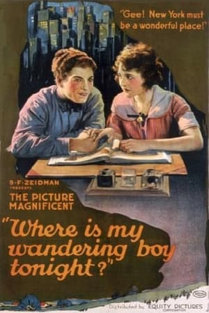 Poster Where's my Wandering Boy Tonight? (1922)
