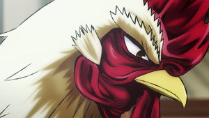 Rooster Fighter