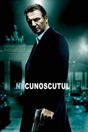 Poster Necunoscutul 2011