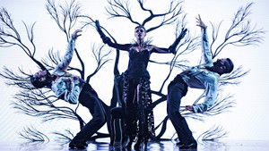 Dancing with the Stars: 23×13